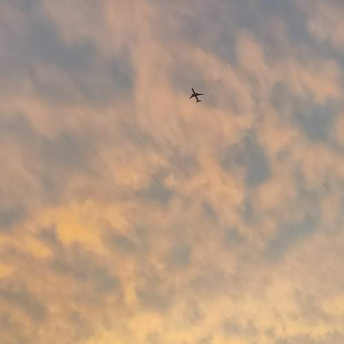 Photo #12529252