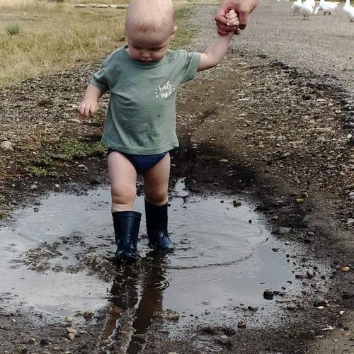 Photo #12529256