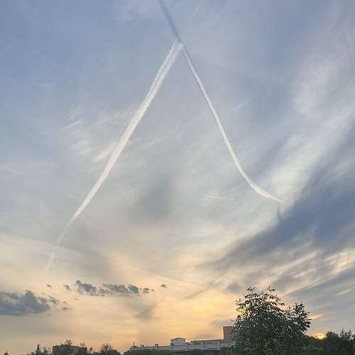 Photo #12529275