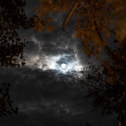 Photo #12529634
