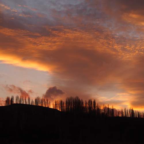 Photo #12529635