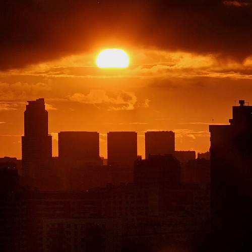 Photo #12529671
