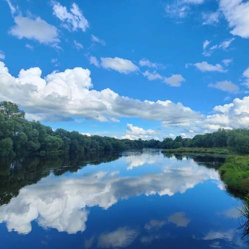 Photo #12529692