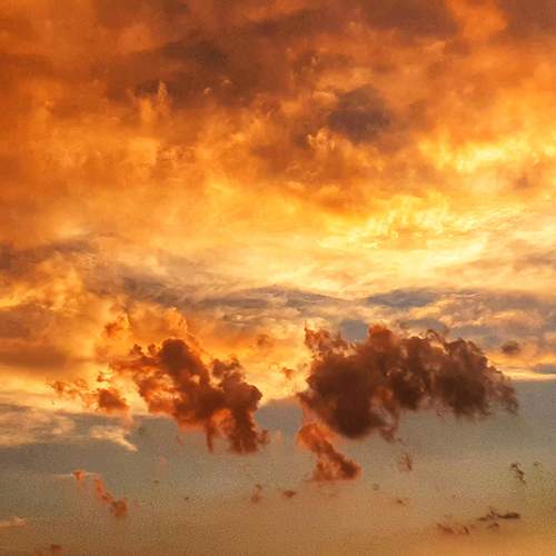 Photo #12529779