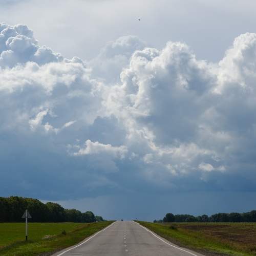 Photo #12529887