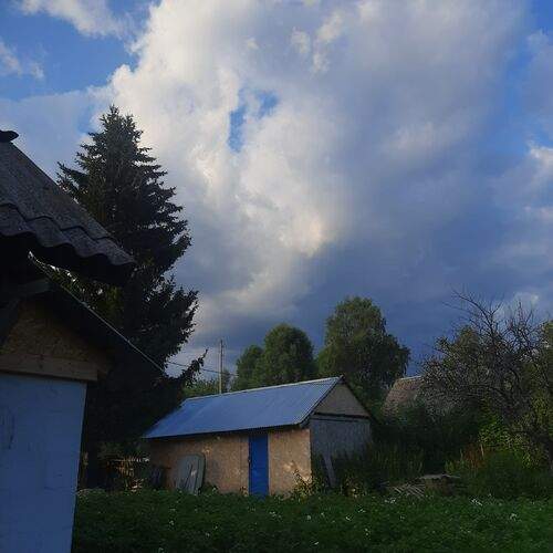 Photo #12529923