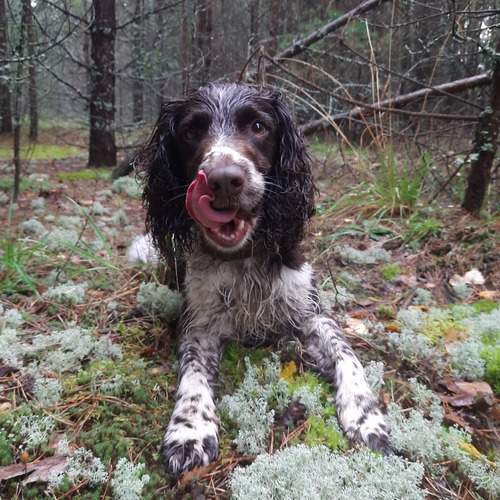Photo #12529947