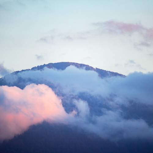 Photo #12529967