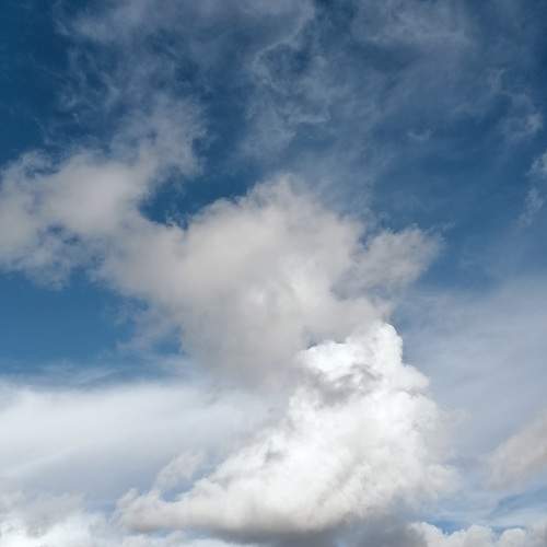 Photo #12529997
