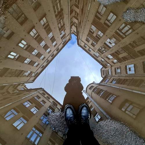 Photo #12530088