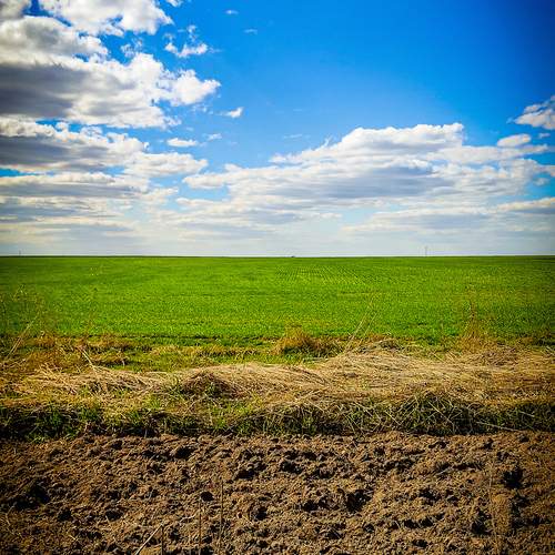 Photo #12530144