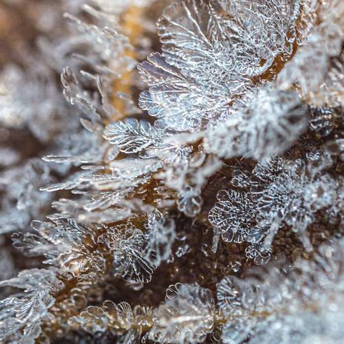 Photo #12530183