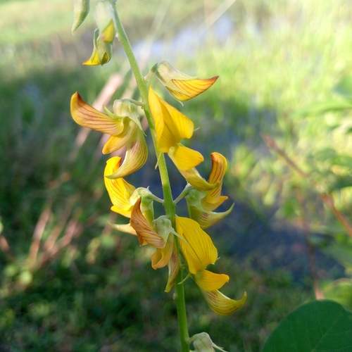Photo #12530220