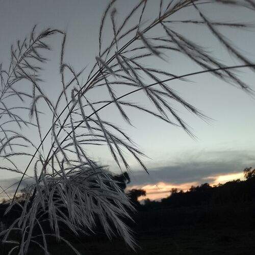 Photo #12530234