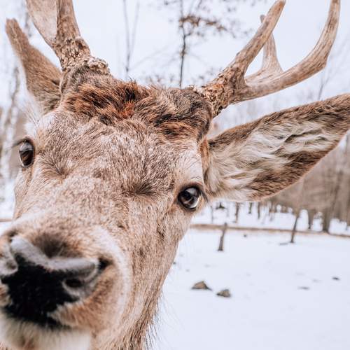 Photo #12530251