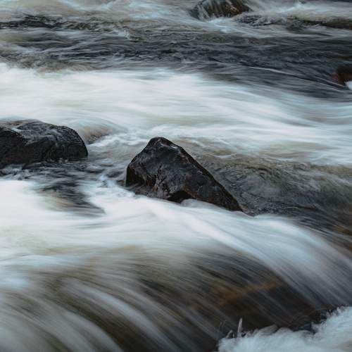 Photo #12530261