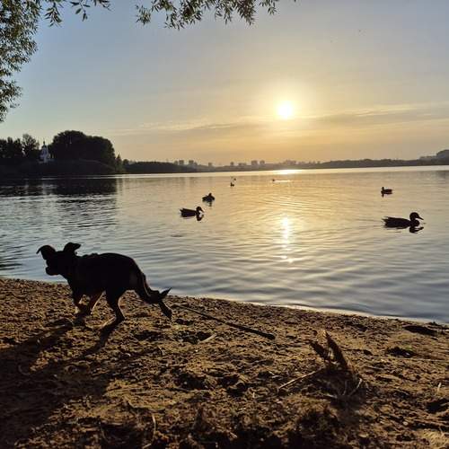 Photo #12530317