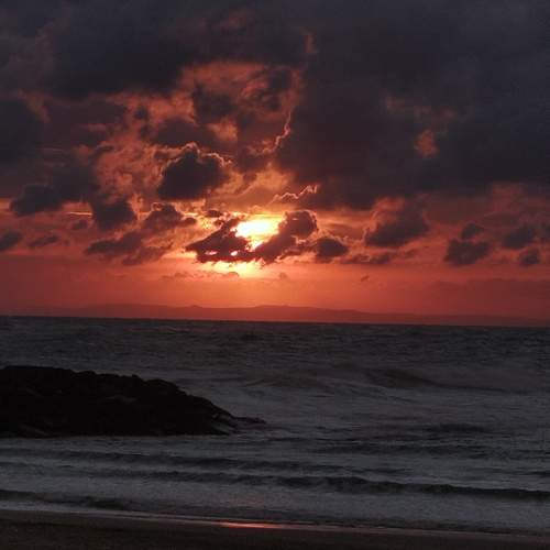 Photo #12530367
