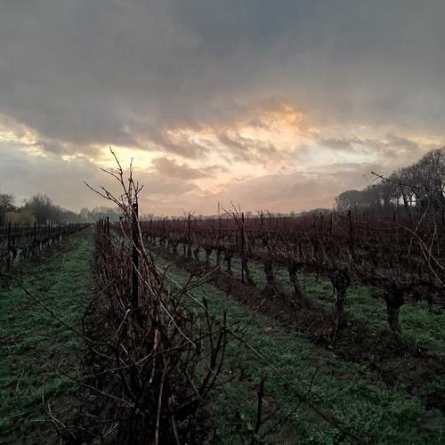 Photo #12530369