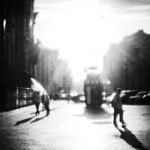 Photo #12530412