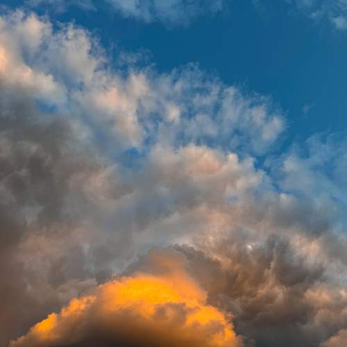 Photo #12530415