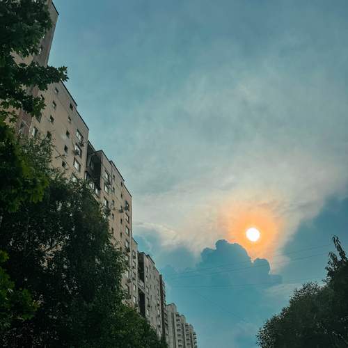 Photo #12530416