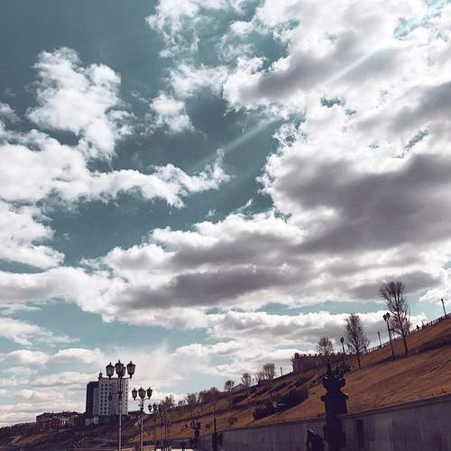 Photo #12530426