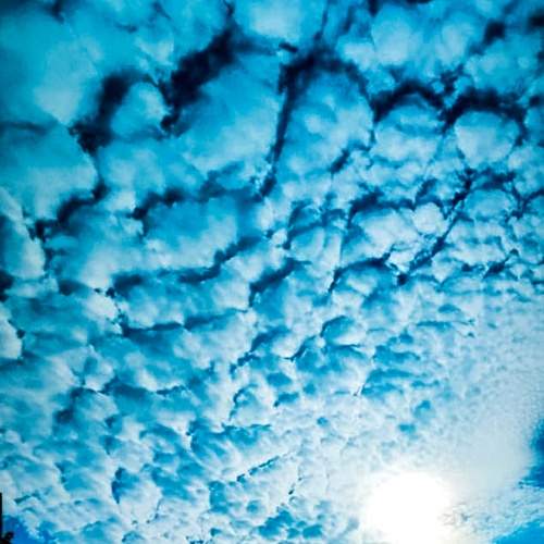 Photo #12530542