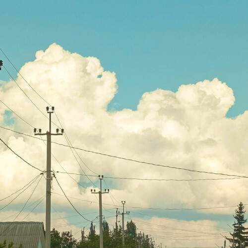 Photo #12530559