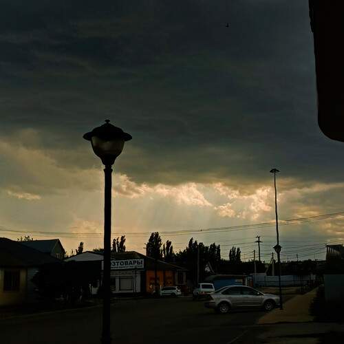Photo #12530562