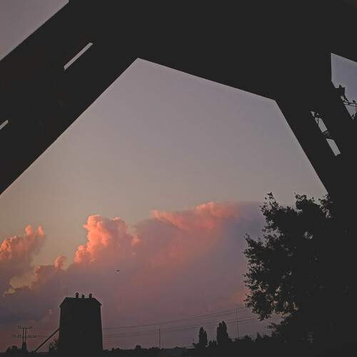 Photo #12530563