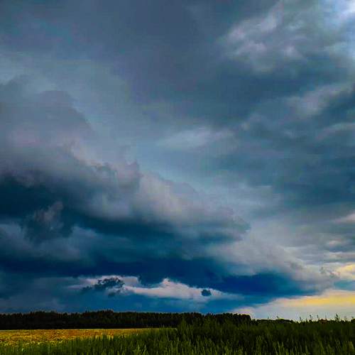 Photo #12530635