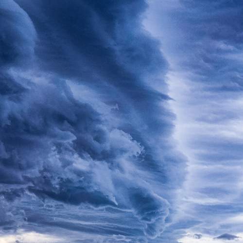 Photo #12530653