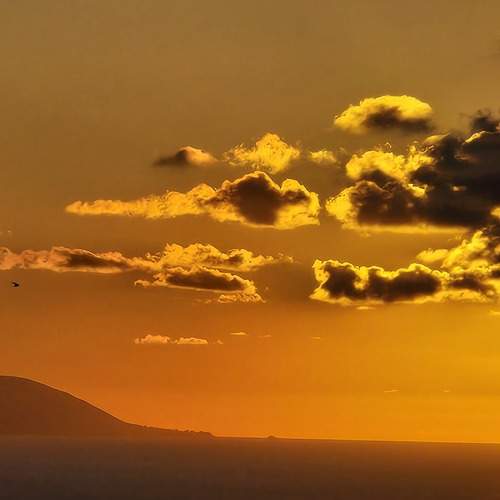Photo #12530714