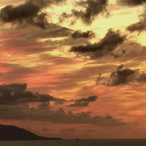 Photo #12530715