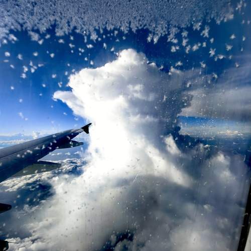 Photo #12530742