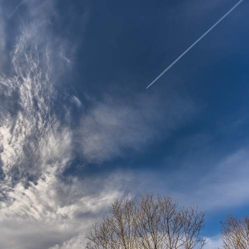 Photo #12530776
