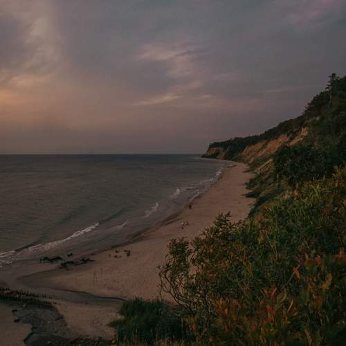 Photo #12530815