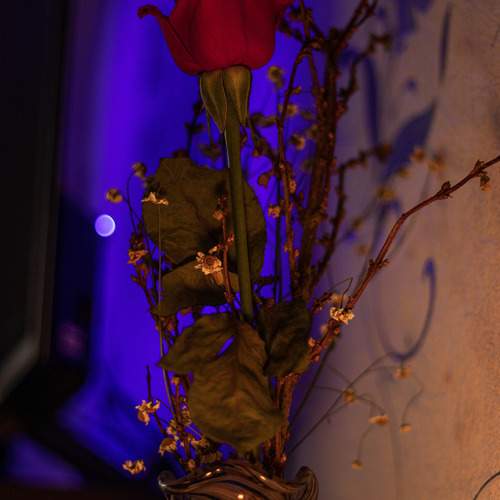 Photo #12530816