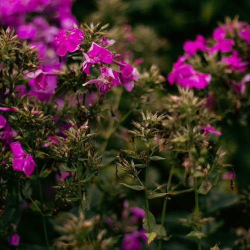 Photo #12530818