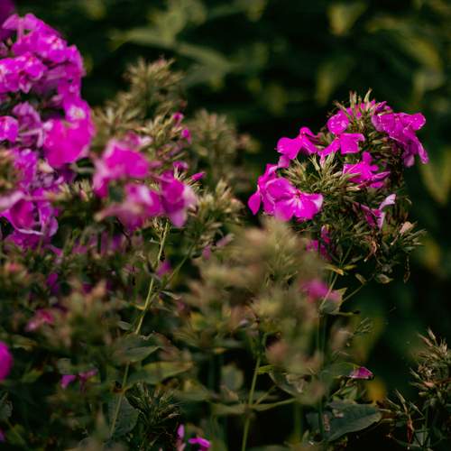Photo #12530819