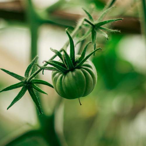 Photo #12530823