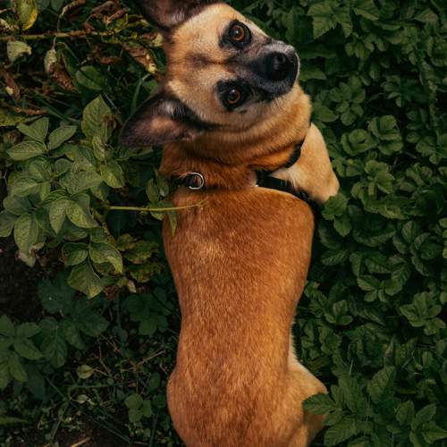 Photo #12530826