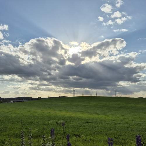 Photo #12530959