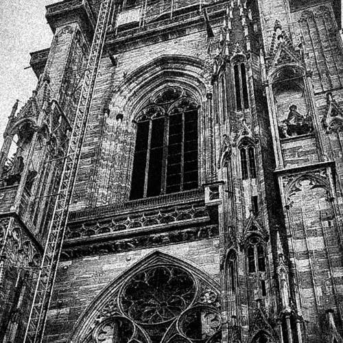 Photo #12531037