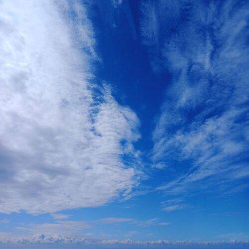 Photo #12531170