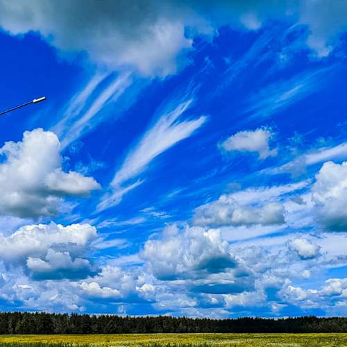Photo #12531174