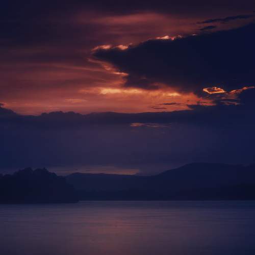 Photo #12531226