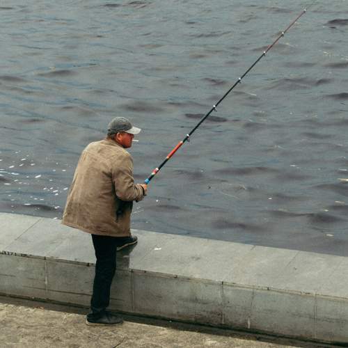 Photo #12531260