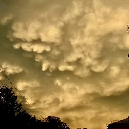 Photo #12531335